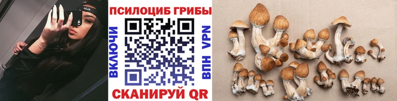 цены   Удомля  Псилоцибиновые грибы ЛСД 