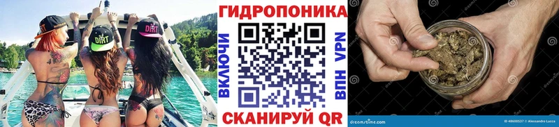 блэк спрут   Удомля  Каннабис AK-47 